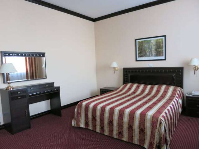 Гостиница Сибирь Барнаул-111