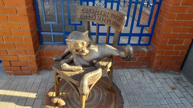 Гостиница Сибирь Барнаул-133